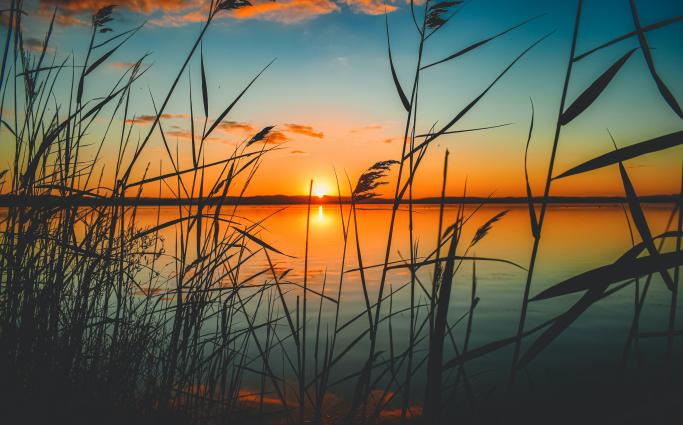 Sunset over a like