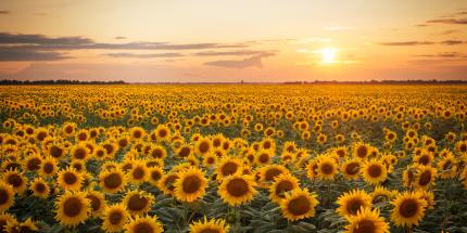 Article: How Best Styles can cultivate stronger investment harvests