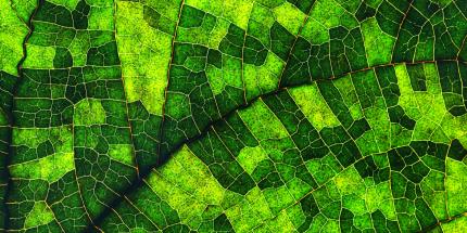 Article: The China Briefing: Taking a Breather