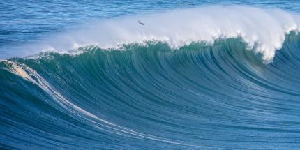 Article: Venezuela update: geopolitical shockwaves